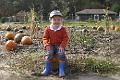 10.20 - James school trip to farm
